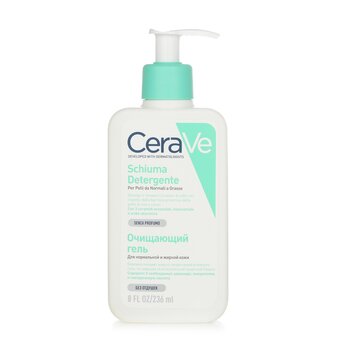 Foaming Cleanser For Normal to Oily Skin